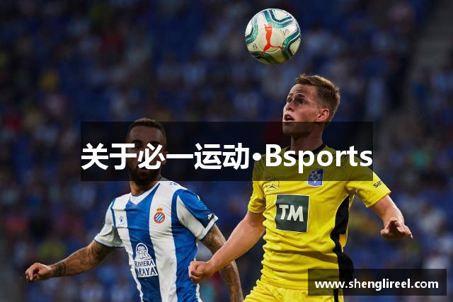 关于必一运动·Bsports